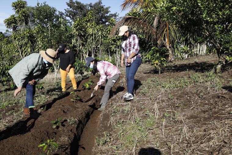 Las OBC: guardianas del ambiente desde las comunidades