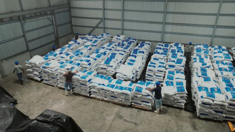 Zona Franca Pesquera en Panamá procesa 300 mil libras de pescado semanales
