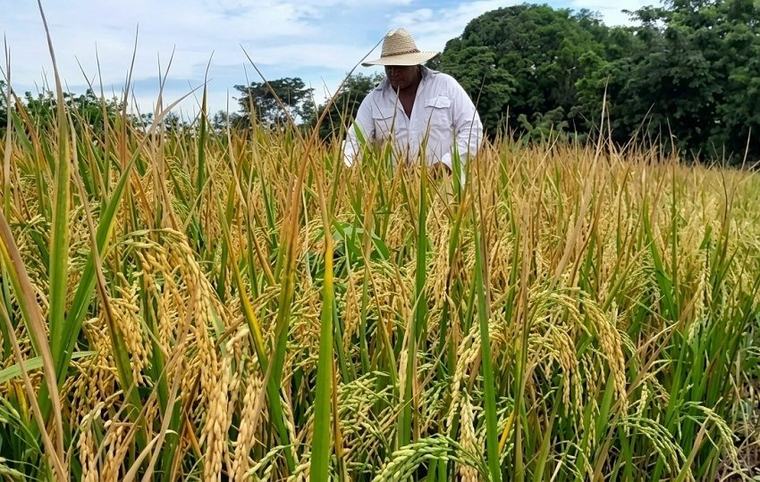 El agro se prepara ante un escenario incierto