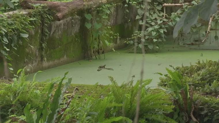 MiAmbiente intervendrá 17 plantas de tratamiento abandonados para evitar una crisis sanitaria