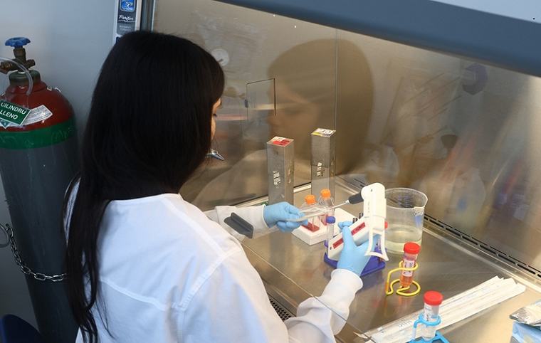Sargazo: la plaga que arruinaba el turismo se perfila como cura para la malaria