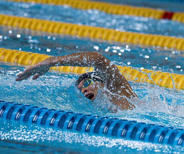 Una competencia para apreciar el valor de la natación