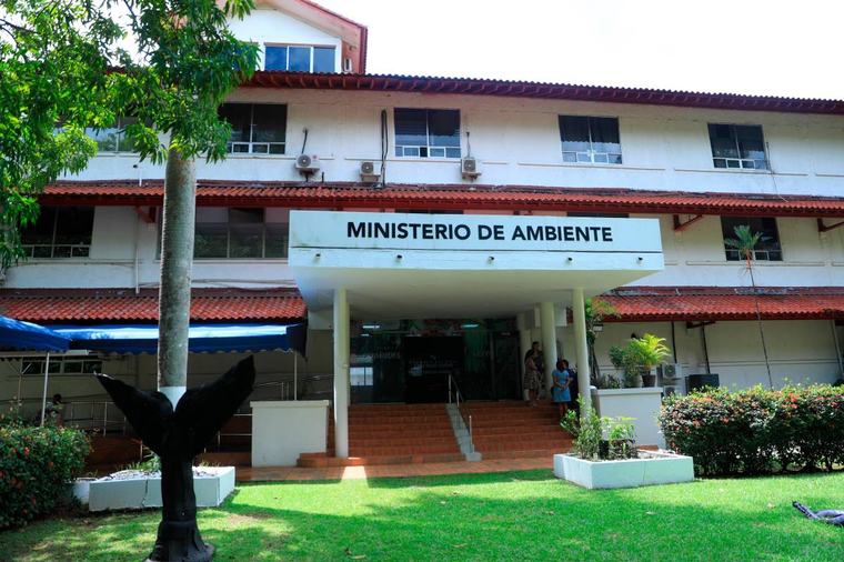 MiAmbiente aprueba 1,021 estudios de impacto ambiental por $6,840 millones en 18 meses