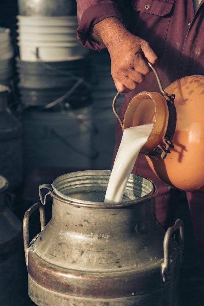 Producción de leche supera los 145 millones de litros al año