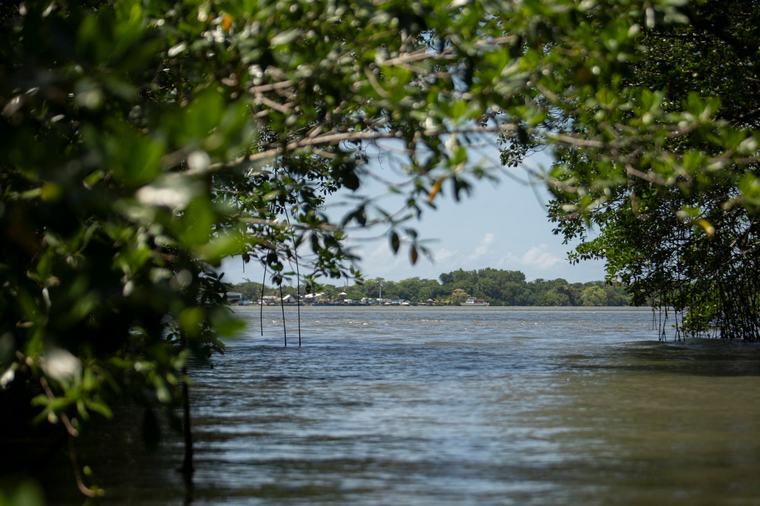 Mesoamérica busca proteger el 30% de su territorio y mares para 2030