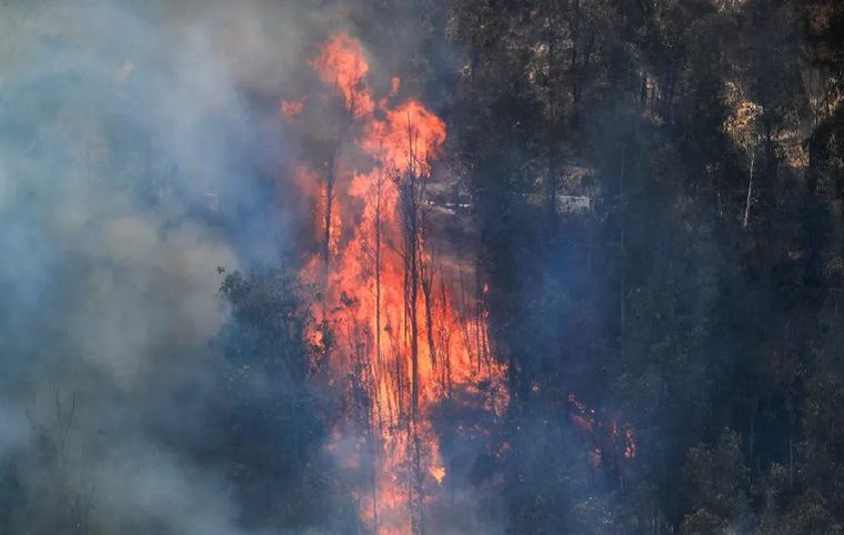 Tragedia en Puno: Incendio forestal activo deja una anciana fallecida y 100 hectáreas calcinadas